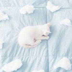 Meet your Posher, Kaitlyn